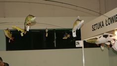 Dsc00149